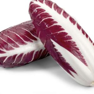 Radicchio lungo tardivo