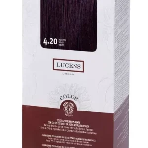 Tinta Color Lucens 4.20 Viola Villa Lodola