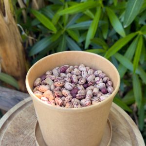 Fagioli borlotti secchi gr.500