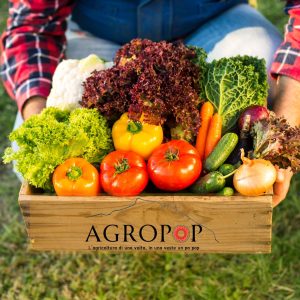 Box Ortofrutta Small