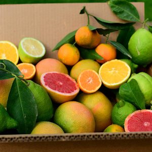 Misto Agrumi (Buccia Edibile) – Box Piccola