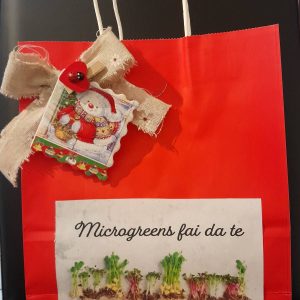 Kit Microgreens fai da te