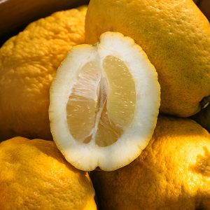 Cedro Siciliano con Buccia Edibile