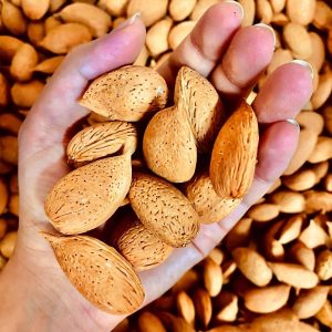 Mandorle siciliane in Guscio