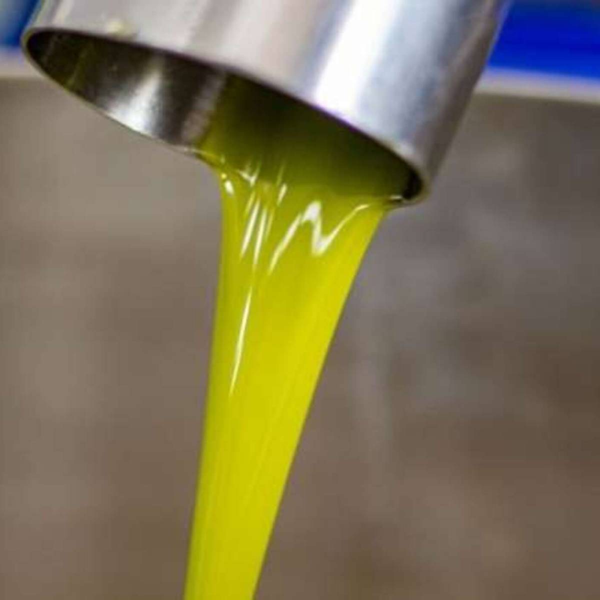 Olio EVO Biancolilla e Nocellara - immagine 2