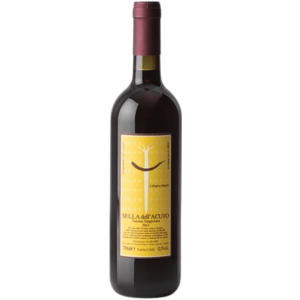 Arnaldo Rossi – Sella dell’Acuto 2019