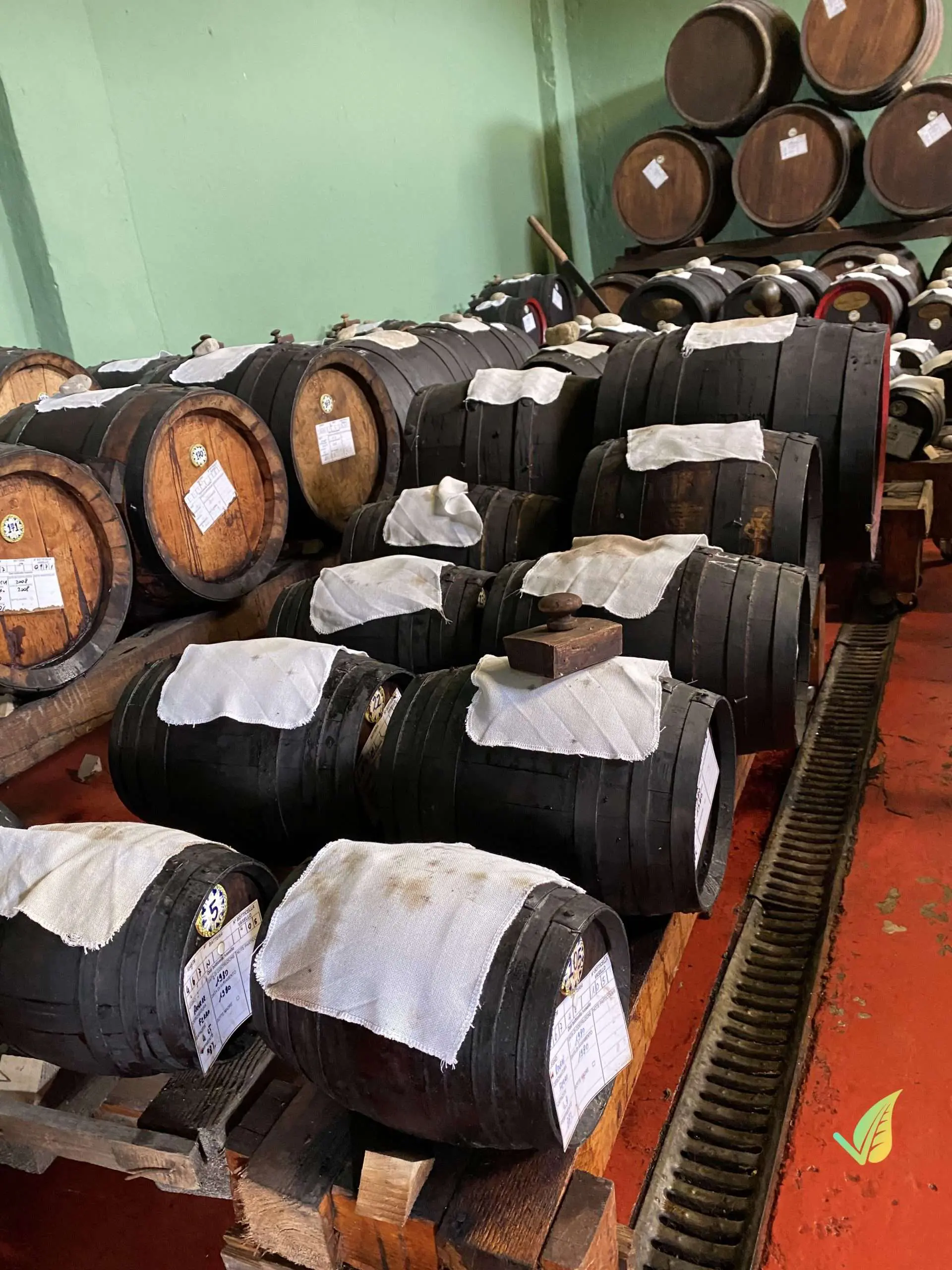 Aceto Balsamico di Modena IGP BIOLOGICO 250ml - immagine 9