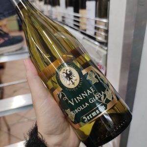 Jerman Ribolla Gialla Vinnae