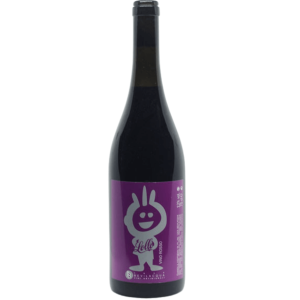 Luca Bevilacqua – Lollo 2020