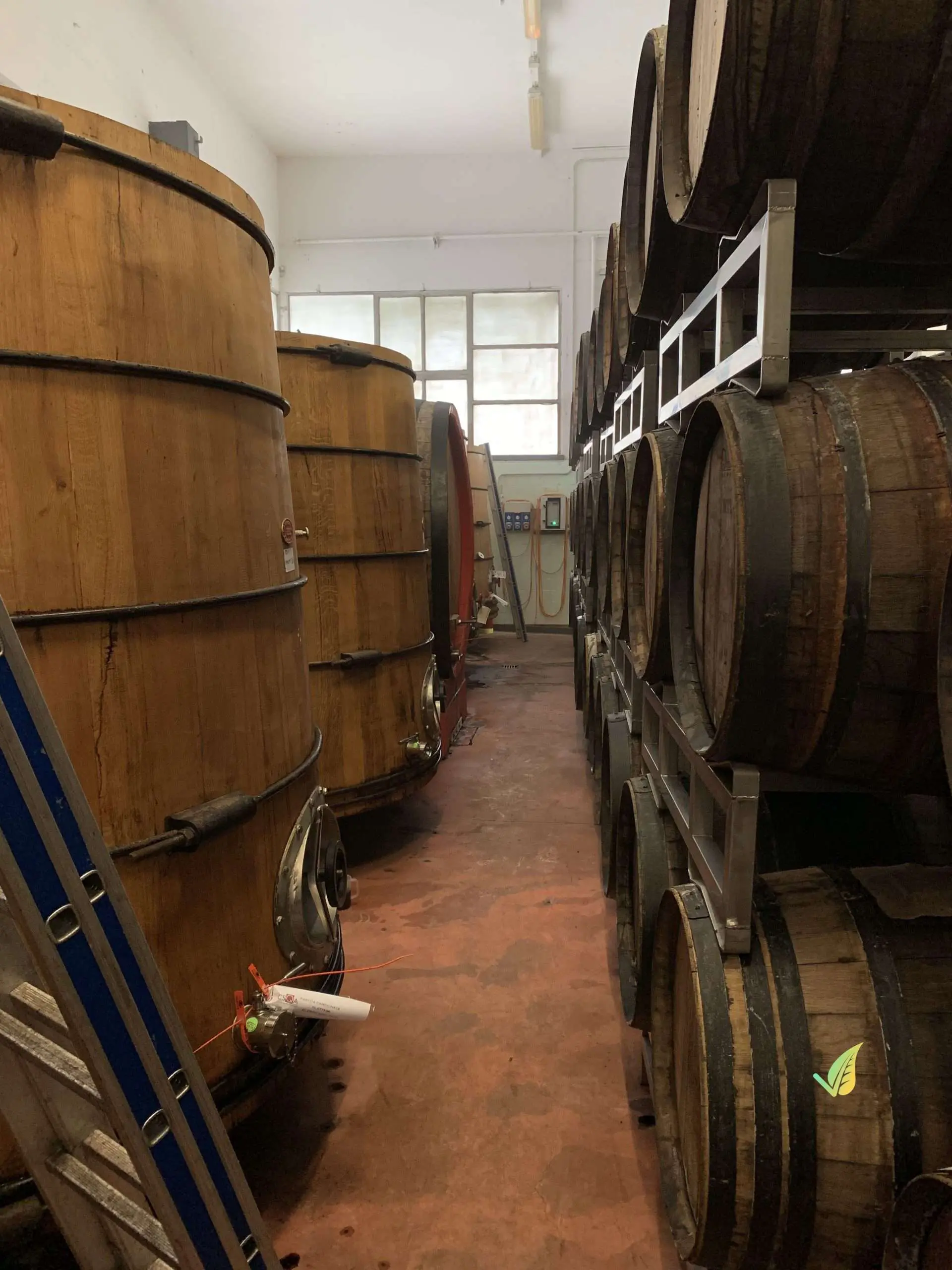 Aceto Balsamico di Modena IGP BIOLOGICO 250ml - immagine 8