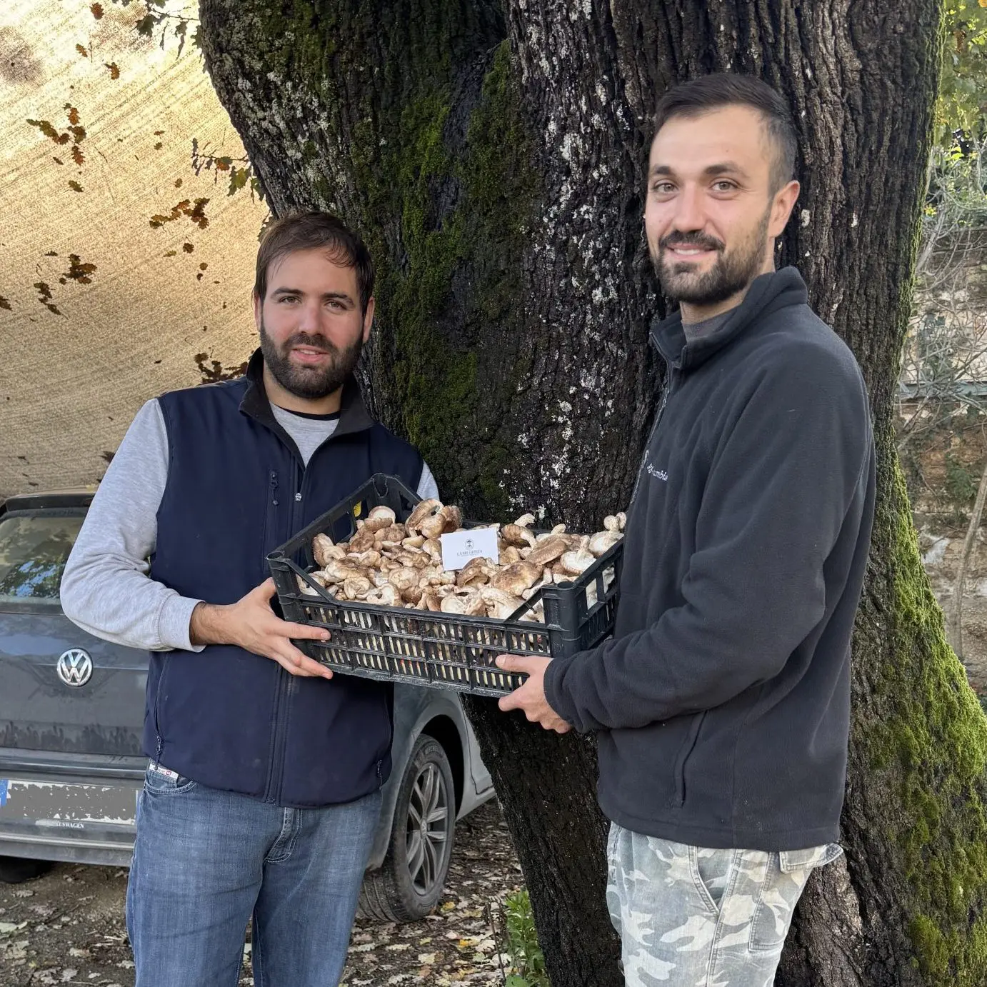 Puntarelle di Finocchio in Agrodolce 180g - immagine 5