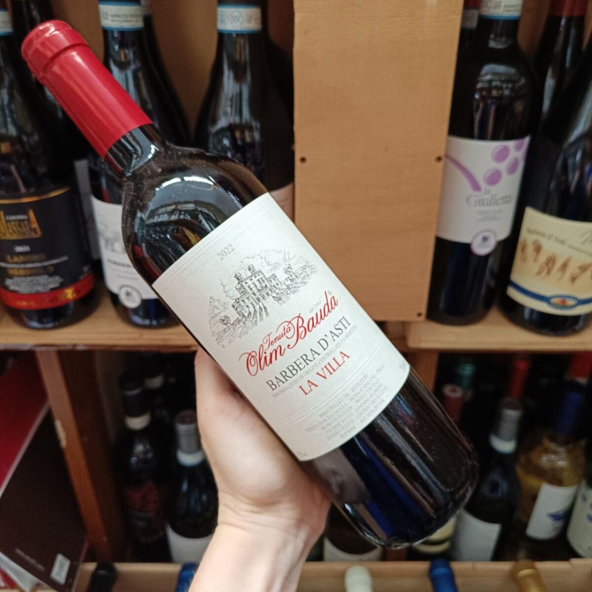 Olim Bauda Barbera D’Asti Docg La Villa