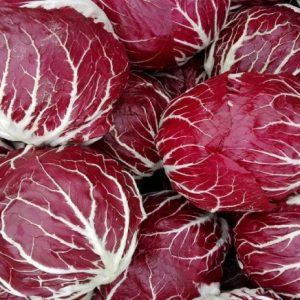 Radicchio chioggia tondo