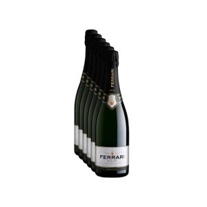 Spumante Trentodoc Brut Ferrari 6 Bottiglie