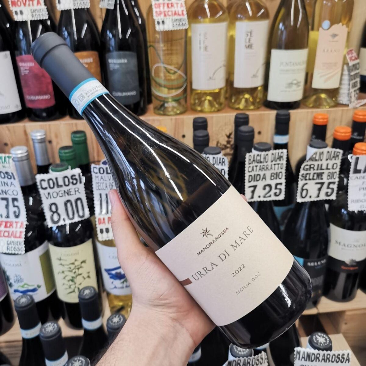 Mandrarossa Urra Di Mare – Sauvignon - immagine 2