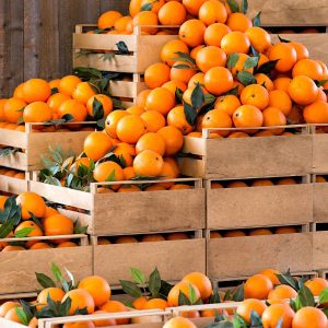 Box clementine extra 10 Kg