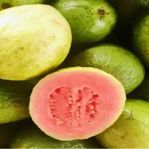 Guava Rosa Biologico Siciliano