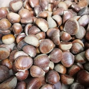 Castagna con pericarpo (buccia)