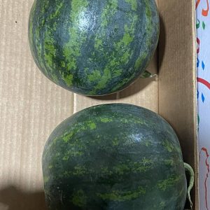 Mini anguria rossa 2,5 kg circa