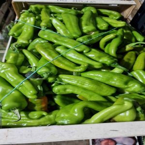 Peperone friggitello