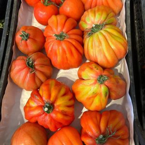 Pomodori Cuor di Bue