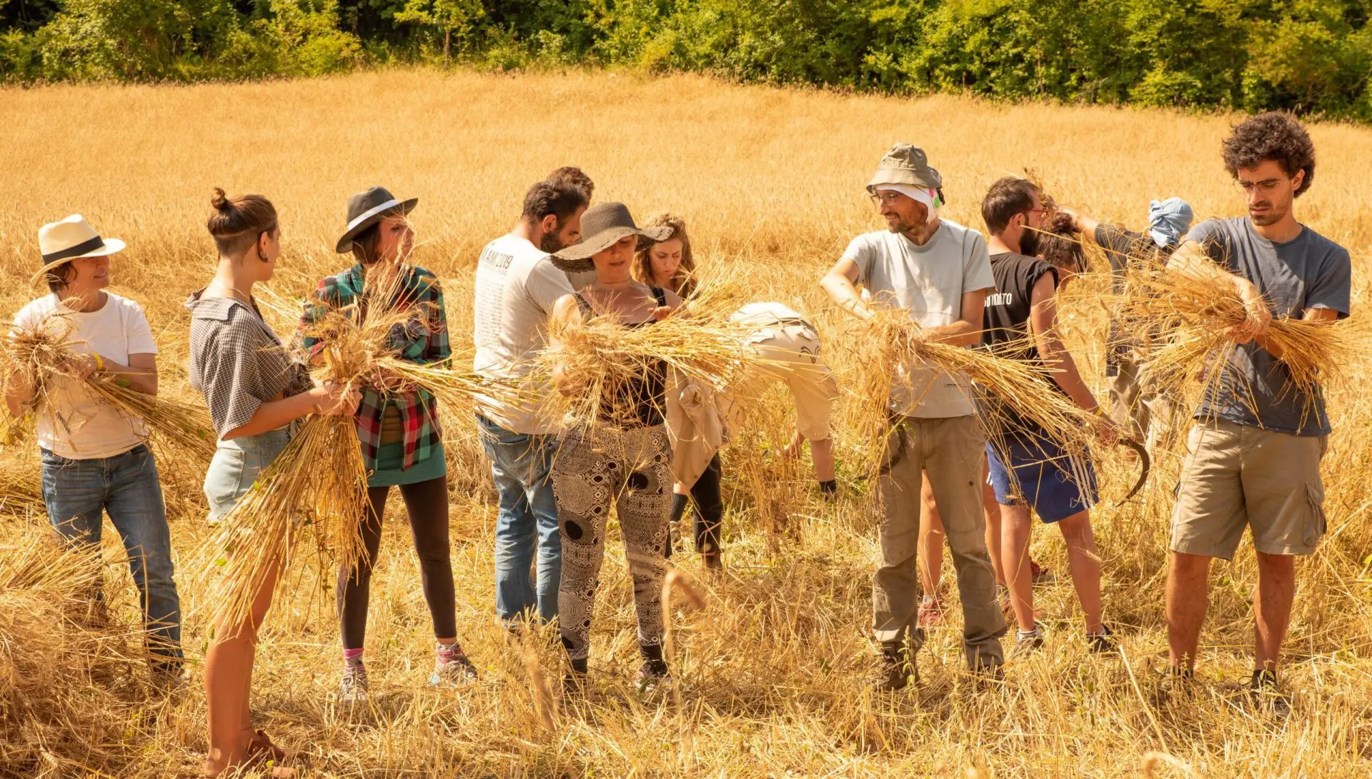 Muffin Artigianali 400g - immagine 5