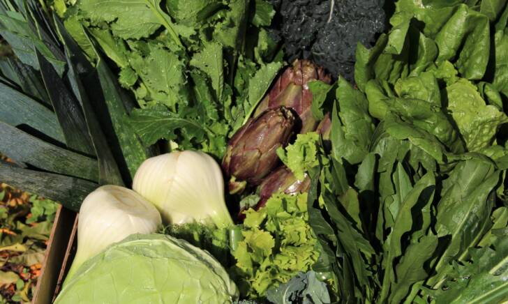 Cassetta solo verdure - immagine 2