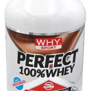 Why Sport Perfect Whey Ciocco Cocco 900 g.