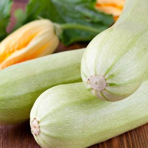 Zucchina napoli siciliana